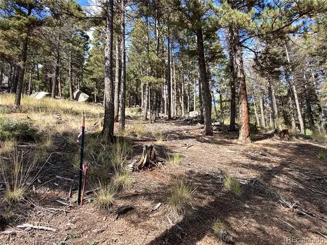 342 Ponderosa View Manitou Springs, CO 80829