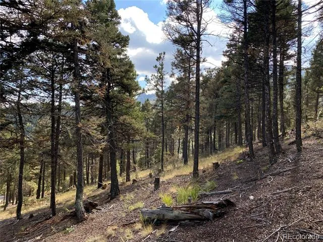 342 Ponderosa View Manitou Springs, CO 80829