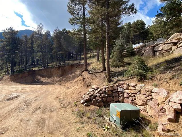 342 Ponderosa View Manitou Springs, CO 80829