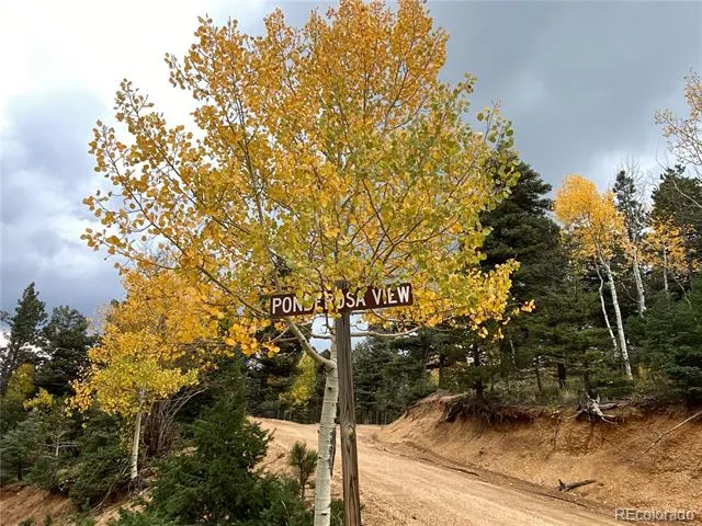 342 Ponderosa View Manitou Springs, CO 80829