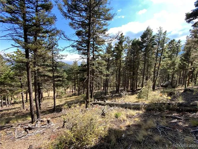 342 Ponderosa View Manitou Springs, CO 80829