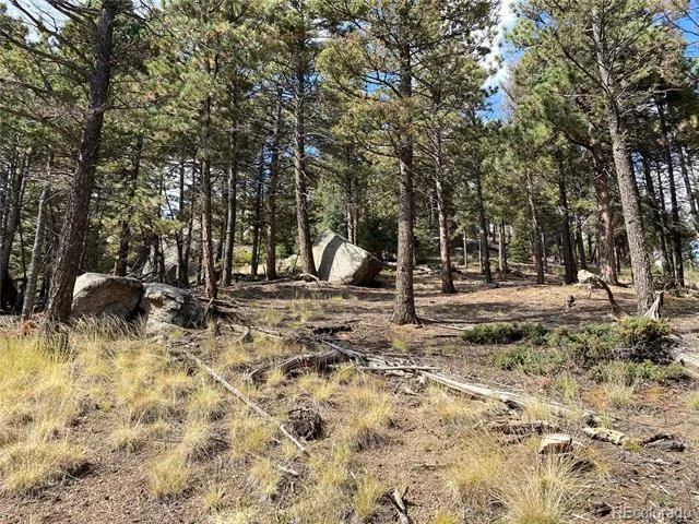 342 Ponderosa View Manitou Springs, CO 80829
