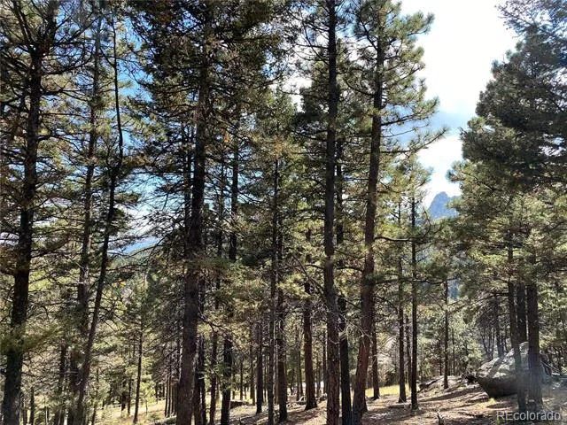 342 Ponderosa View Manitou Springs, CO 80829