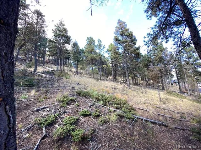342 Ponderosa View Manitou Springs, CO 80829