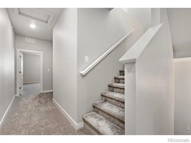 410 High Point Drive #104 Longmont, CO 80504