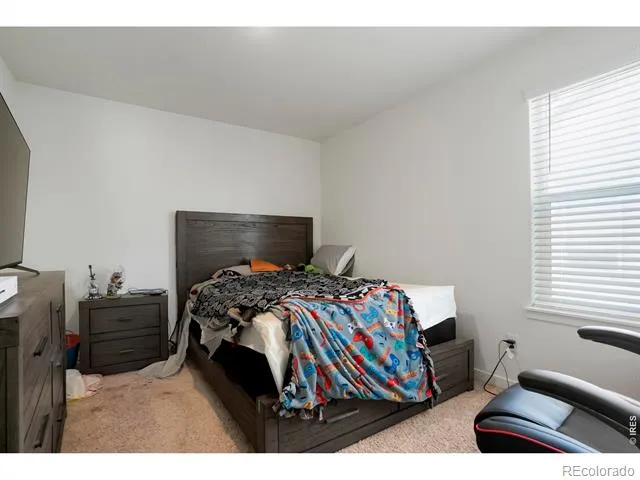 2372 Mountain Sky Drive Fort Lupton, CO 80621