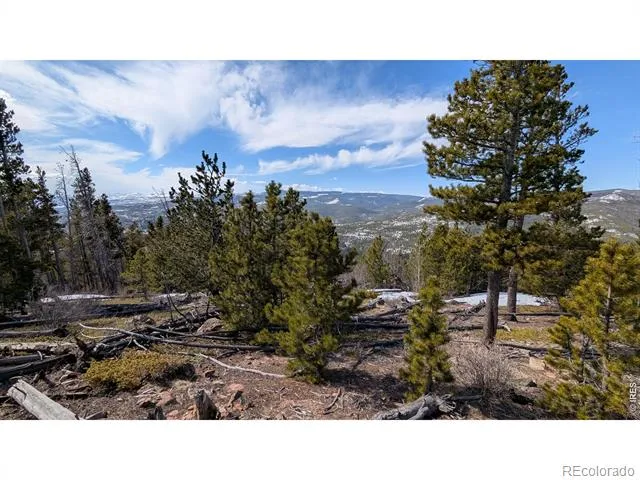 2182 Osage Trail Red Feather Lakes, CO 80545