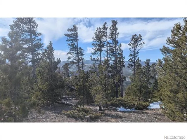 2182 Osage Trail Red Feather Lakes, CO 80545