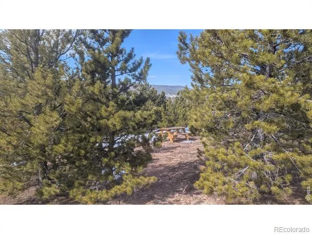 2182 Osage Trail Red Feather Lakes, CO 80545