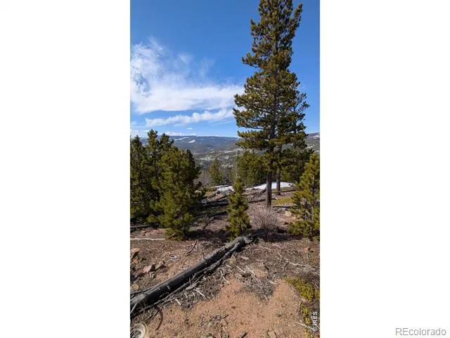 2182 Osage Trail Red Feather Lakes, CO 80545
