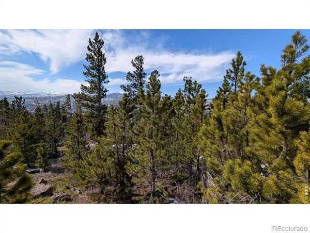 2182 Osage Trail Red Feather Lakes, CO 80545