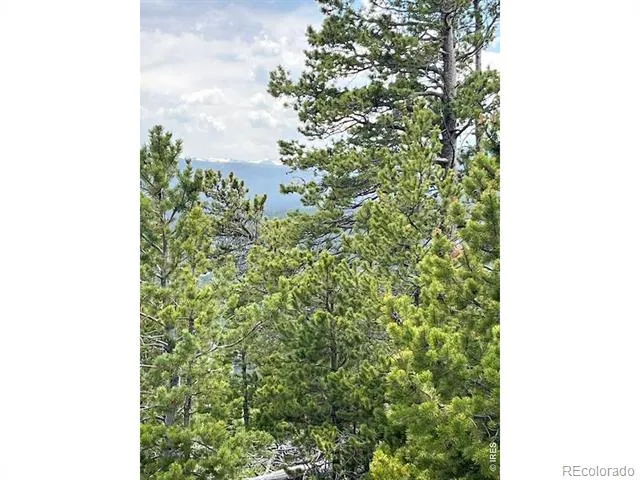 2182 Osage Trail Red Feather Lakes, CO 80545