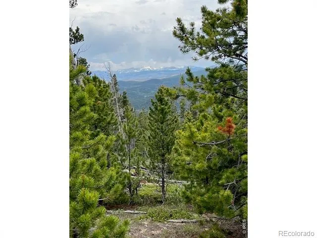 2182 Osage Trail Red Feather Lakes, CO 80545
