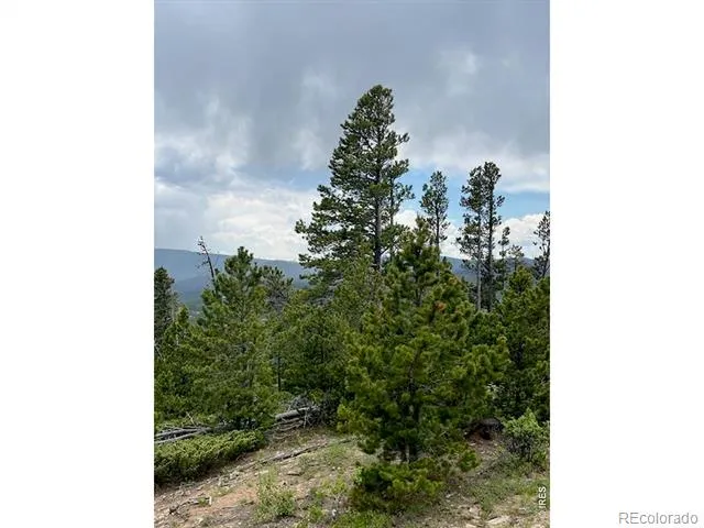 2182 Osage Trail Red Feather Lakes, CO 80545