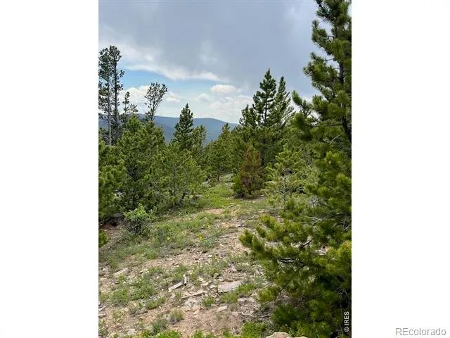 2182 Osage Trail Red Feather Lakes, CO 80545