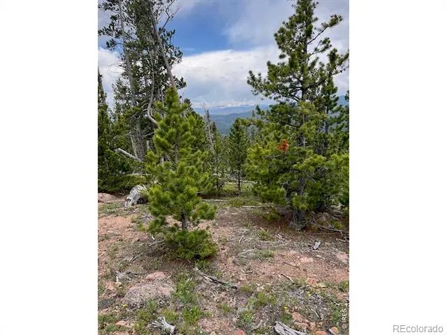 2182 Osage Trail Red Feather Lakes, CO 80545