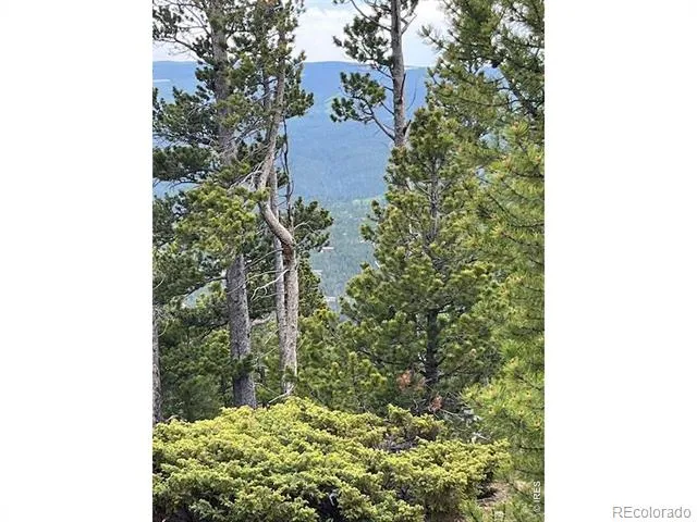 2182 Osage Trail Red Feather Lakes, CO 80545