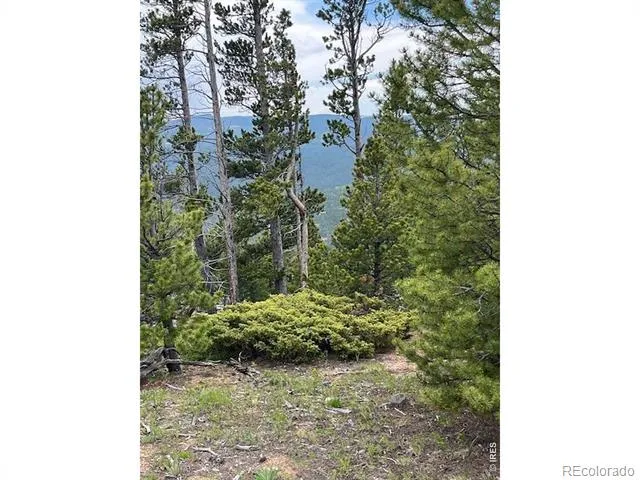 2182 Osage Trail Red Feather Lakes, CO 80545