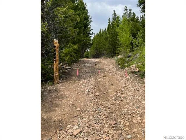 2182 Osage Trail Red Feather Lakes, CO 80545