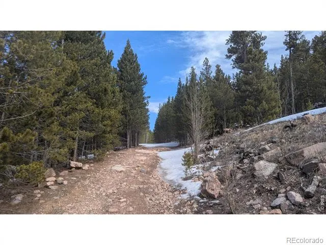 2182 Osage Trail Red Feather Lakes, CO 80545