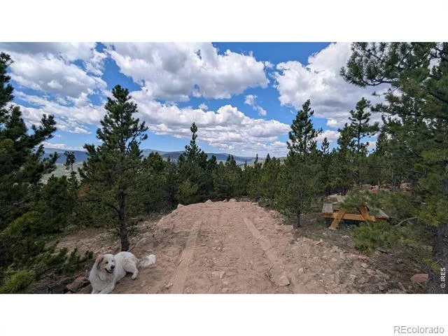 2182 Osage Trail Red Feather Lakes, CO 80545