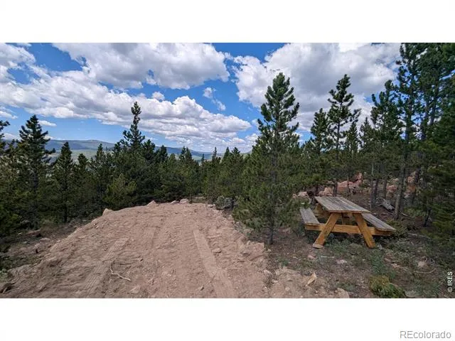 2182 Osage Trail Red Feather Lakes, CO 80545