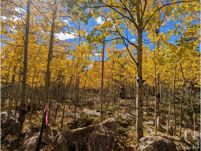 2182 Osage Trail Red Feather Lakes, CO 80545