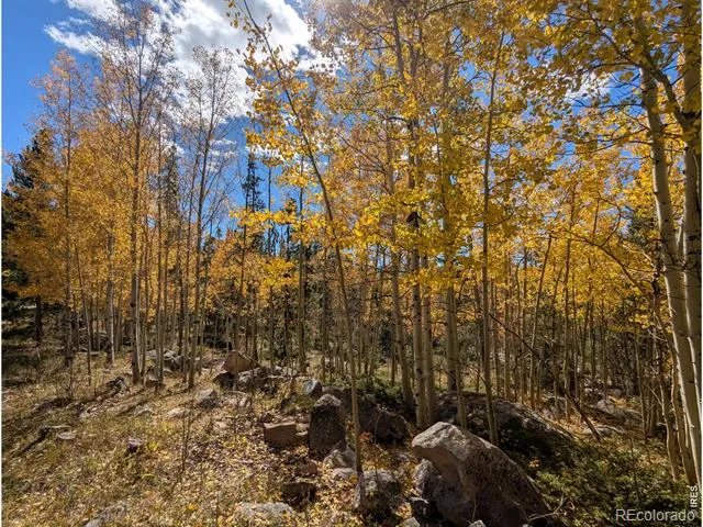 2182 Osage Trail Red Feather Lakes, CO 80545