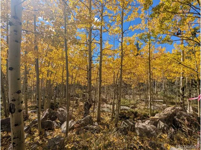 2182 Osage Trail Red Feather Lakes, CO 80545