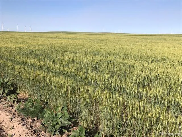 0 CR 70 Briggsdale, CO 80611