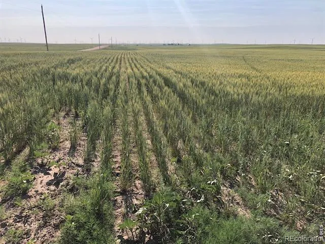 0 CR 70 Briggsdale, CO 80611