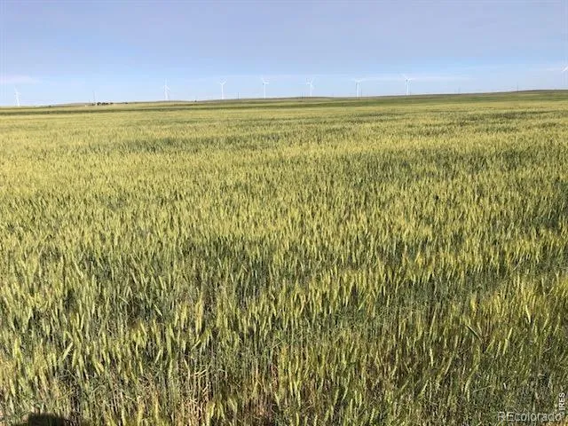 0 CR 70 Briggsdale, CO 80611