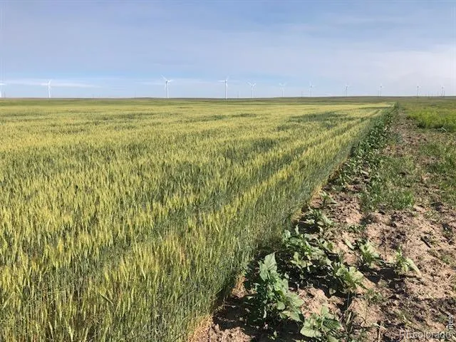 0 CR 70 Briggsdale, CO 80611