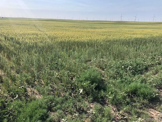 0 CR 70 Briggsdale, CO 80611