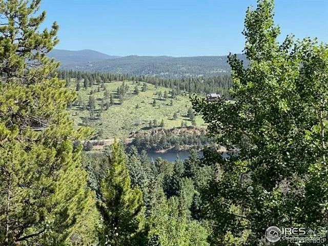 8 Valley View Drive Nederland, CO 80466