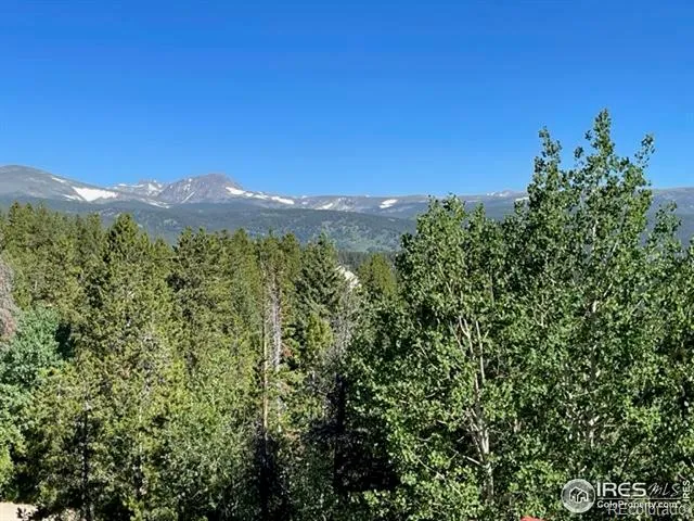 8 Valley View Drive Nederland, CO 80466