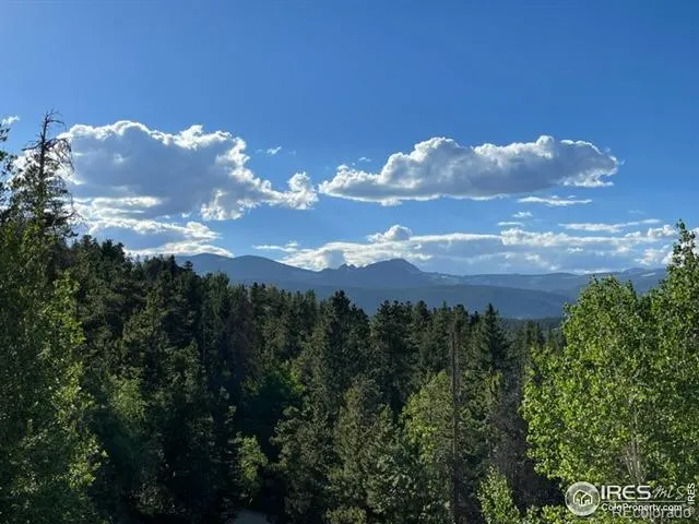 8 Valley View Drive Nederland, CO 80466