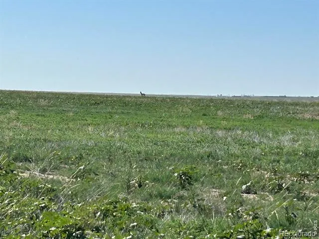 0 CR 74 Briggsdale, CO 80611