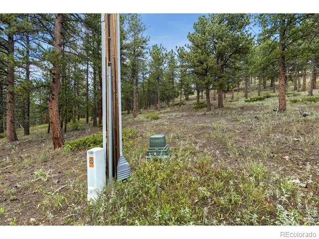 357 Big John Road Lyons, CO 80540