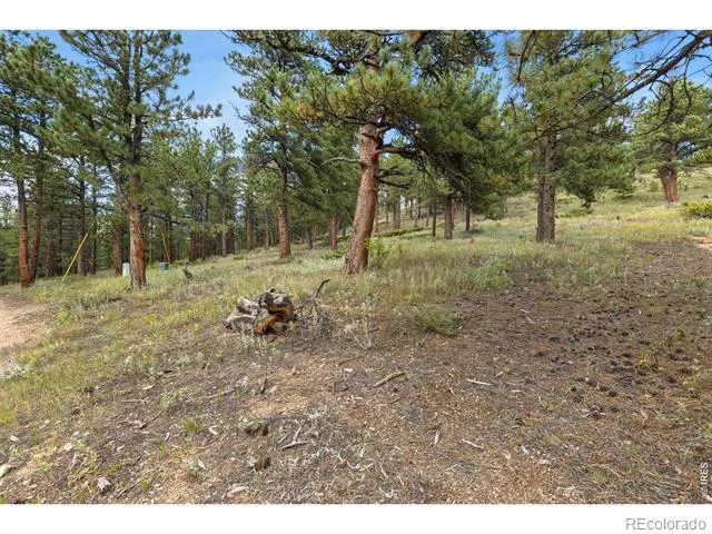 357 Big John Road Lyons, CO 80540