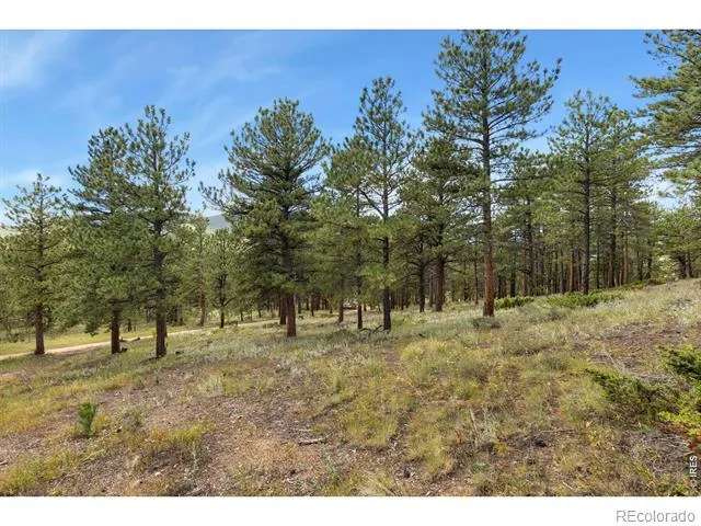 357 Big John Road Lyons, CO 80540