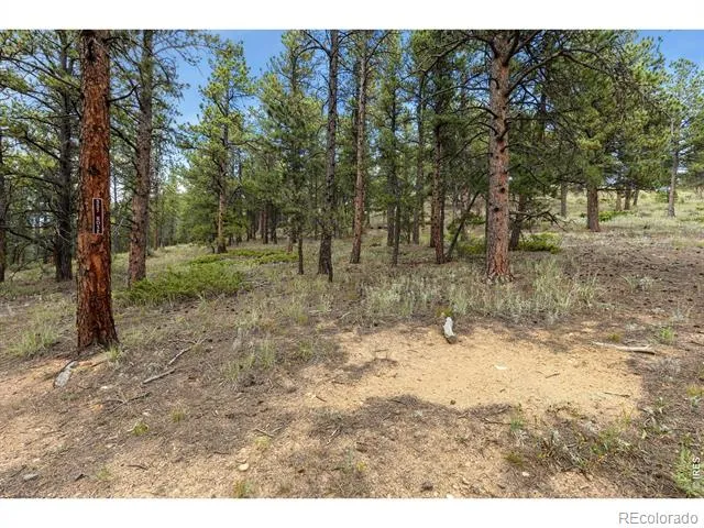 357 Big John Road Lyons, CO 80540
