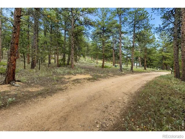 357 Big John Road Lyons, CO 80540