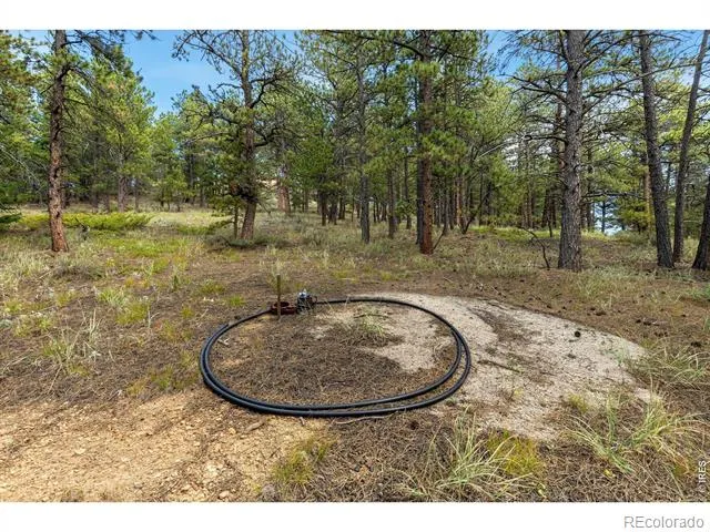 357 Big John Road Lyons, CO 80540