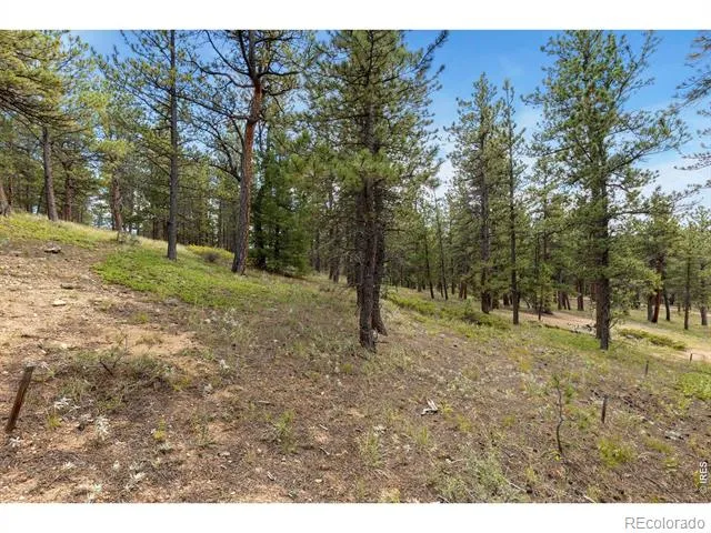 357 Big John Road Lyons, CO 80540