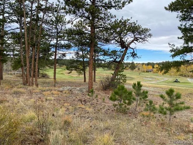 0 Northwoods Drive Red Feather Lakes, CO 80545