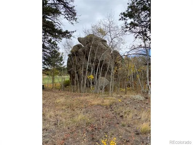 0 Northwoods Drive Red Feather Lakes, CO 80545