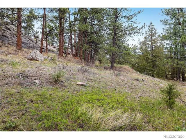 1289 Kiowa Road Lyons, CO 80540