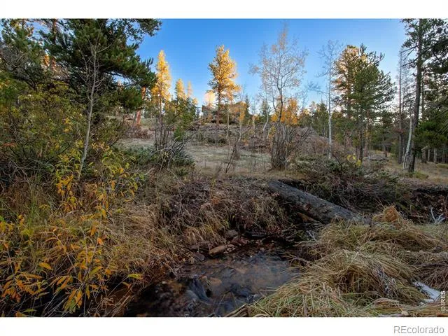 1997 Big Owl Road Allenspark, CO 80510