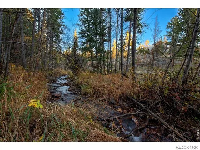 1997 Big Owl Road Allenspark, CO 80510